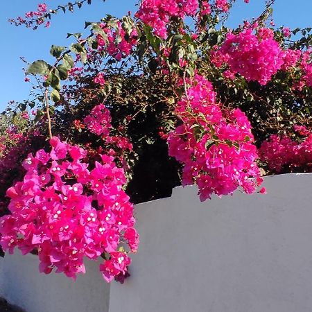 La Casa Del Nonno Bed and Breakfast Μιλάτσο Εξωτερικό φωτογραφία