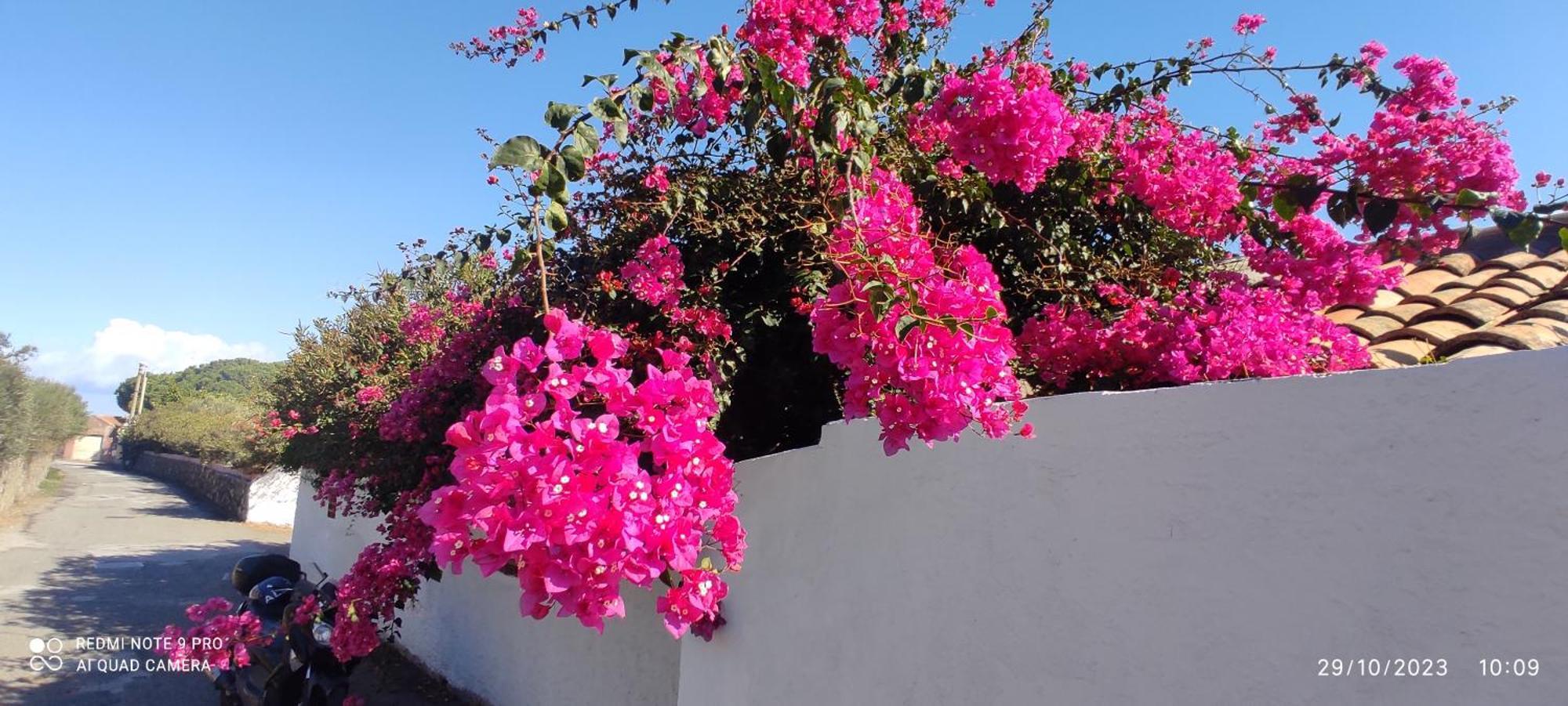 La Casa Del Nonno Bed and Breakfast Μιλάτσο Εξωτερικό φωτογραφία